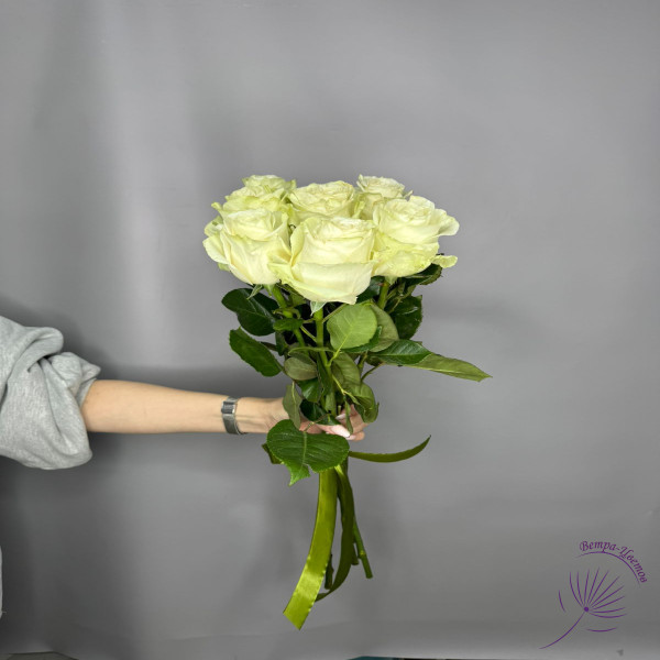 Роза Мондиаль